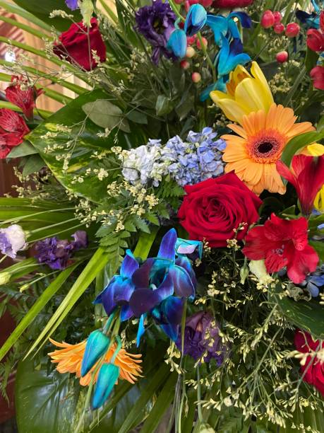 Tropical Flower Arrangements