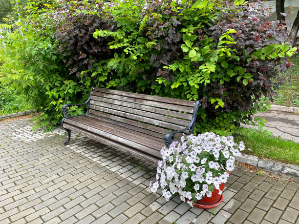 istock a place to relax surrounded by plants and flowers 1509637759