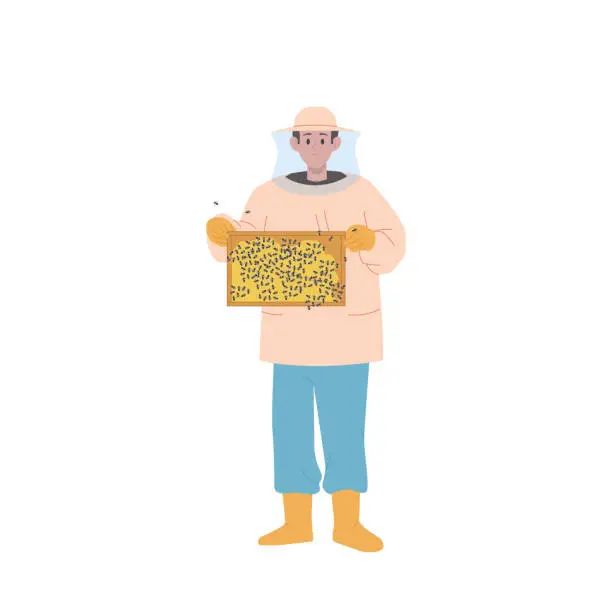 Vector illustration of Professional beekeeper cartoon character holding frame with honeycomb and insect, apiculture concept