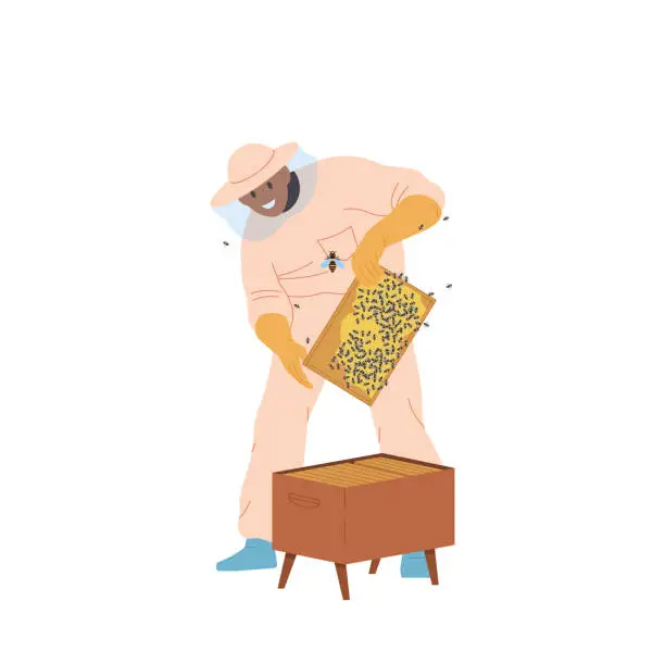 Vector illustration of Male beekeeper character in protective hat, overalls and gloves holding frame with honeycombs