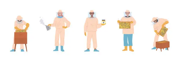 Vector illustration of Isolated set of apiary farm or beekeeping garden worker character engaged in honey extraction