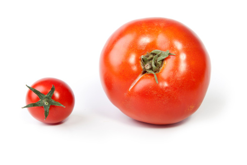 comparison organic juicy cherry tomato and big inorganic hormone tomato together on the white background