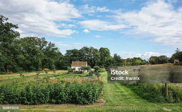 Farm House In Denmark Stock Photo - Download Image Now - Agricultural Field, Agriculture, Architecture