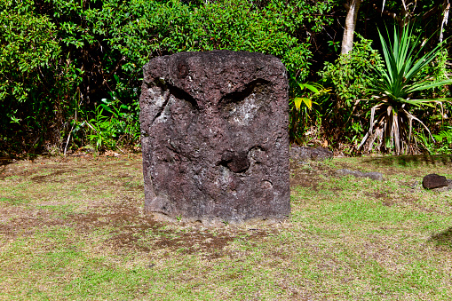Ngarchelong State, Babeldaob Island, Palau: Badrulchau Stone Monoliths, angry anthropomorphic face - archaeological site covering an area of five acres, it contains 52 monolith basalt columns, crude faces carved into some of them - located on the ancient terraces between Ollei and Mengellang hamlets - inscribed in the Palau Register of Historic Places.