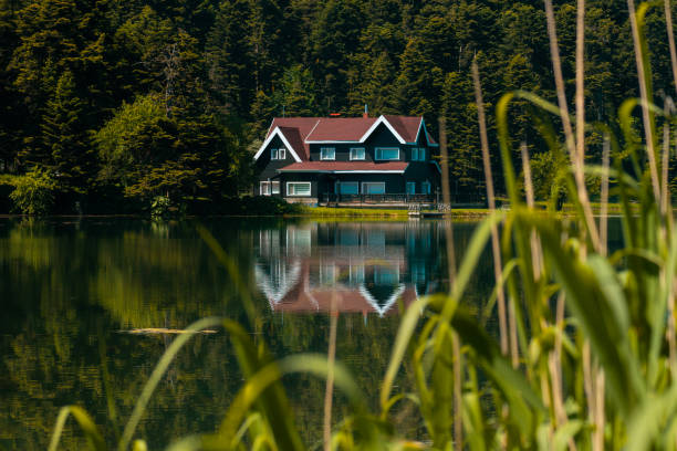 Gölcük, a nature park in the province of Bolu Gölcük, a nature park in the province of Bolu. guest house located by the lake in the forest. Shot with a full-frame camera in daylight. carex pluriflora stock pictures, royalty-free photos & images