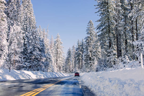 istock Winter road throught trees covered with snow with car driving in the distance, 1509907607