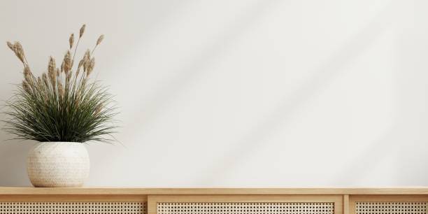 istock Mockup white wall background empty room with plants on a wooden cabinet. 1509916889