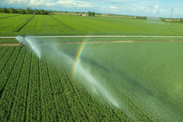istock Rural field planted with garlic using hose reel system pumping water from canal. most widespread in Italy for full field watering. 1509992216