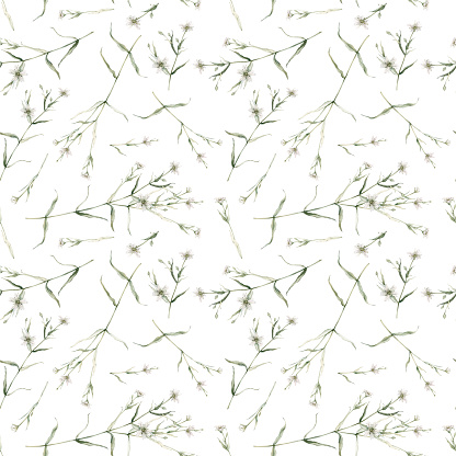 Watercolor seamless pattern with classic anemone. Hand painted white flower abd eucalyptus leaves isolated on white background. Illustration for design, fabric, print or background.