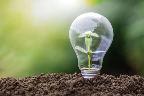 istock Plant growing on the soil in a light bulb. idea or energy and environment concept 1510014494