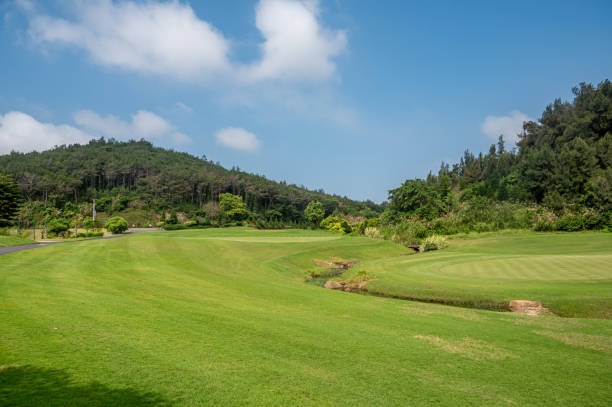 istock Green lawn and forest under the blue sky and white clouds 1510054869