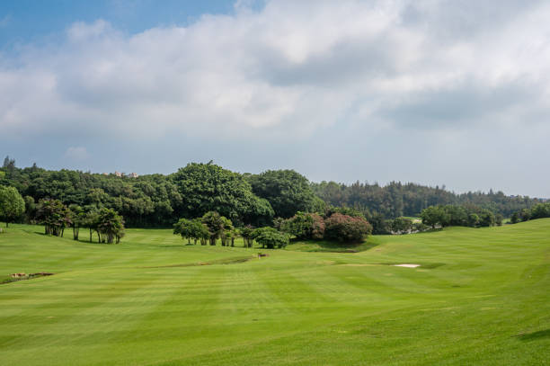 istock Green lawn and forest under the blue sky and white clouds 1510055388