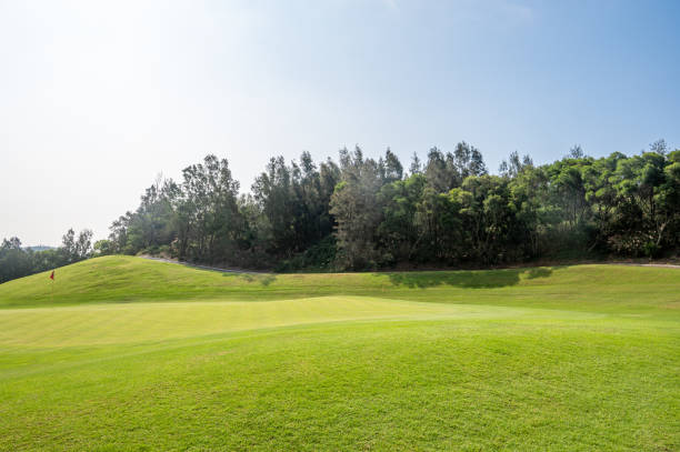 istock Lawn and forest on a sunny day 1510055902