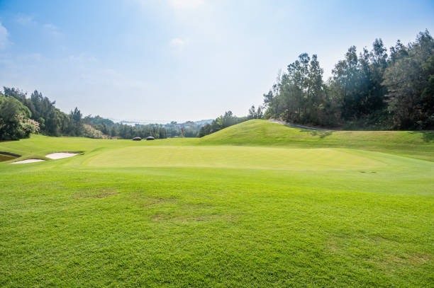 istock Lawn and forest on a sunny day 1510056408