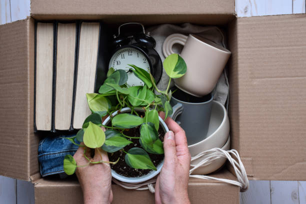 istock Person's hands packing personal belongings items into cardboard box for moving 1510085860