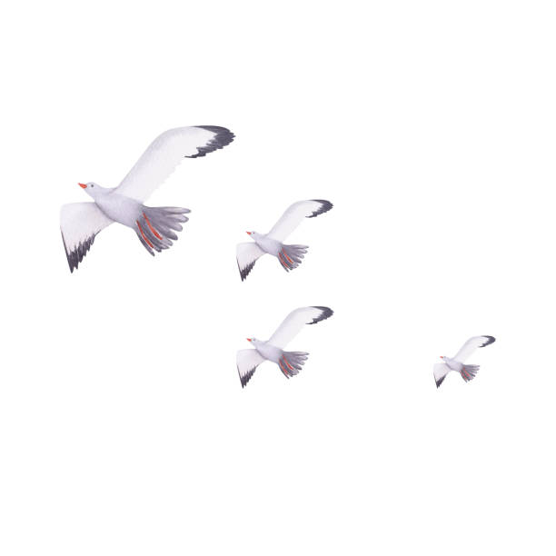 istock Seagulls watercolor illustration. Hand painted card with norwegian house isolated on white background. 1510089626