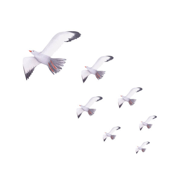 istock Seagulls watercolor illustration. Hand painted card with norwegian house isolated on white background. 1510089630