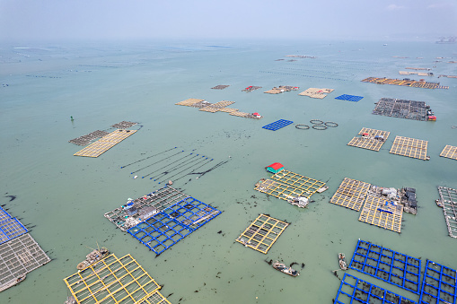 Aerial view of a sea fish farming factory on a sunny day