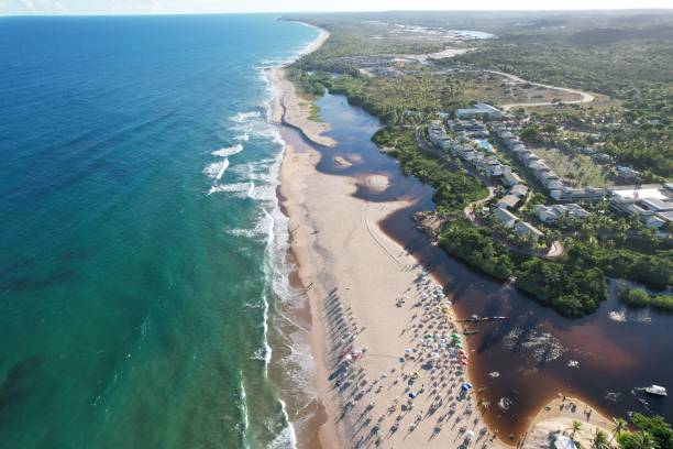 istock BAHIA - BRAZIL - PRAIA DO FORTE 1510338662