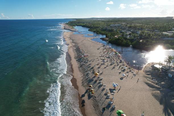 istock BAHIA - BRAZIL - PRAIA DO FORTE 1510339174
