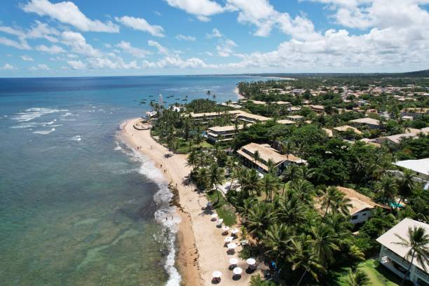 istock BAHIA - BRAZIL - PRAIA DO FORTE 1510339708