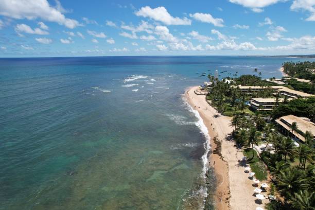 istock BAHIA - BRAZIL - PRAIA DO FORTE 1510339715