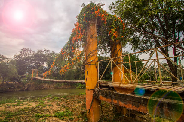 Wooden bridge stock photo