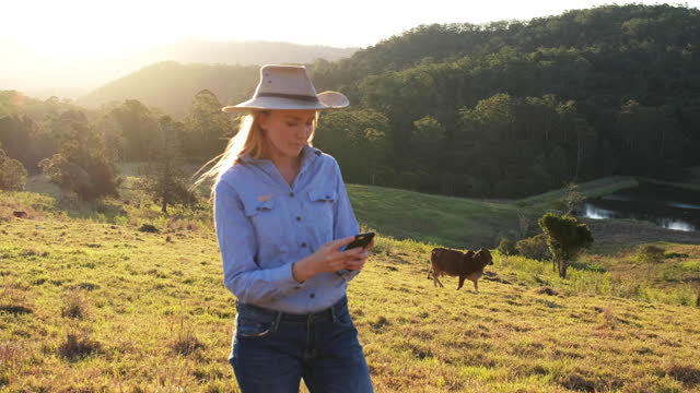 Woman farmer texting in front of field of cows and natural scenery