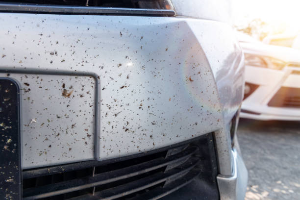 istock Bugs or insects dead on car bumper. 1510460327
