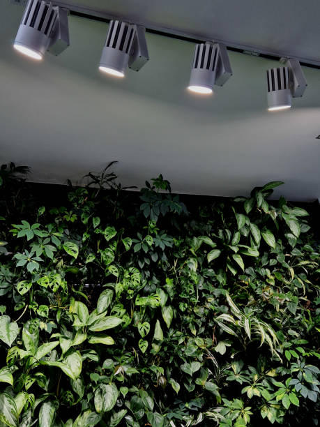 istock vertical greenery on the wall of the building in the interior. irrigation distribution using a drip hose built into the flower pots. absorbent wicks. shop window with overhead lighting, ramp 1510462485