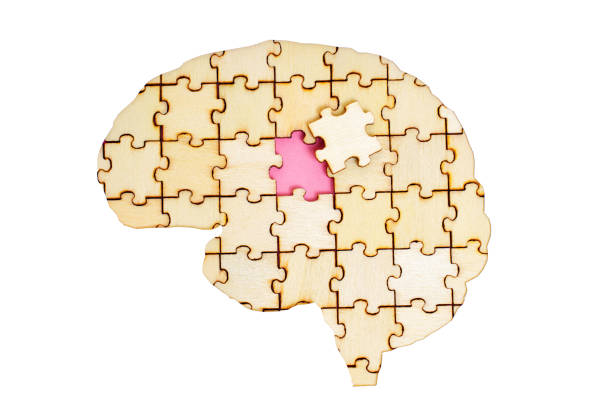istock Human Brain Shape Made from Wooden Puzzle Pieces 1510472611