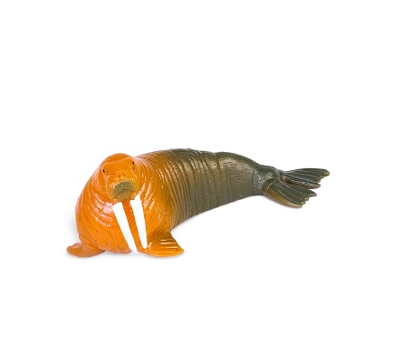 Miniature walrus animal toy in orange color isolated on white