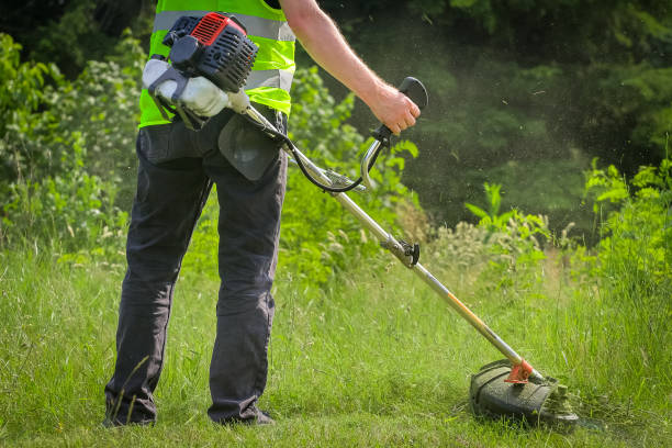 Physical worker mowing tall grass, weed with grass trimmer stock photo