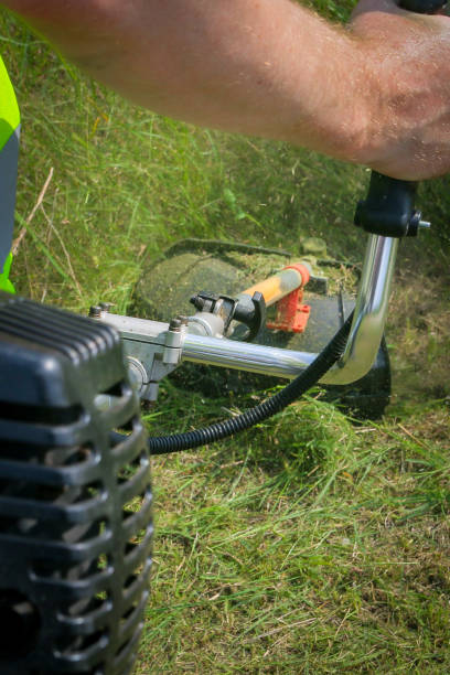 istock Physical worker mowing tall grass, weed with grass trimmer 1510524491