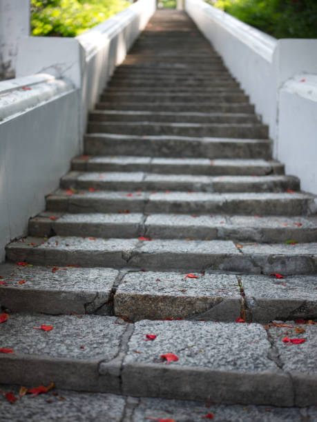 istock Tropical flowers on an  brick temple stairs floor. 1510525530