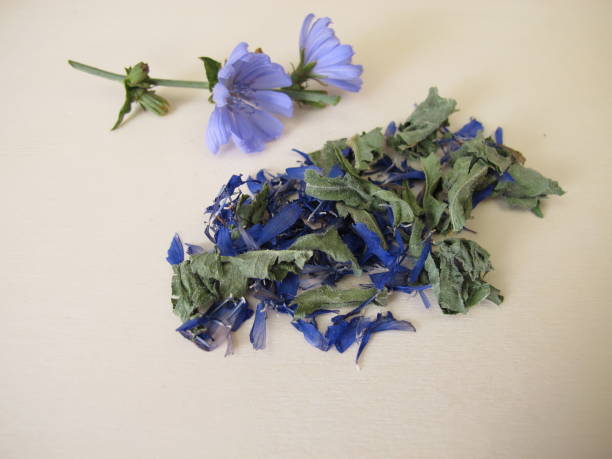 istock Tea herbs with dried chicory leaves and flowers, Cichorii herba 1510525536