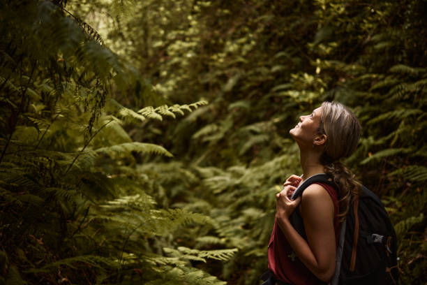istock Smiling female backpacker day dreaming among greenery in nature. 1510554137