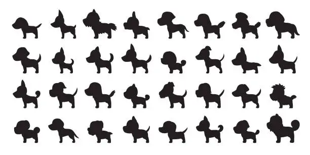 Vector illustration of Vector cartoon silhouette dogs of various breeds side view