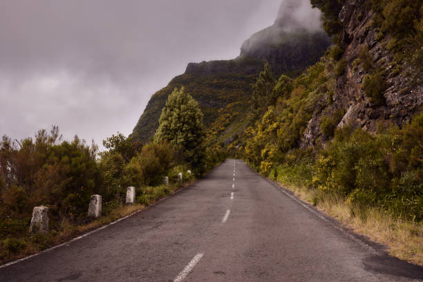 Empty road during the day in the mountains at Madeira, Portugal.