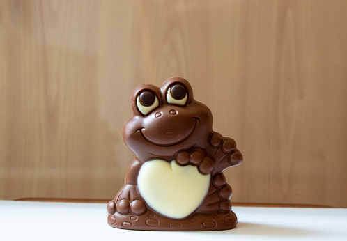 chocolate toad figurine stands on the kitchen table