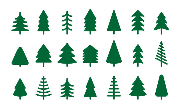 jodła geometryczna - sosna drzewo iglaste stock illustrations