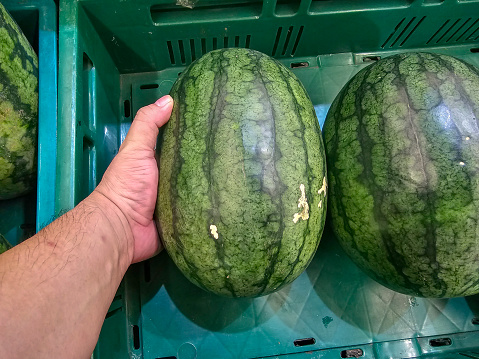 hand holding watermelon that is being sold