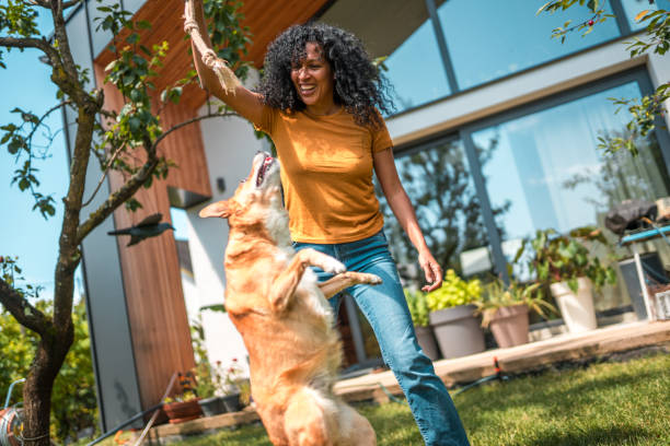 istock Joyful Mature Female And Her Loving Dog 1510658918