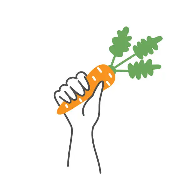 Vector illustration of Hand with carrot.