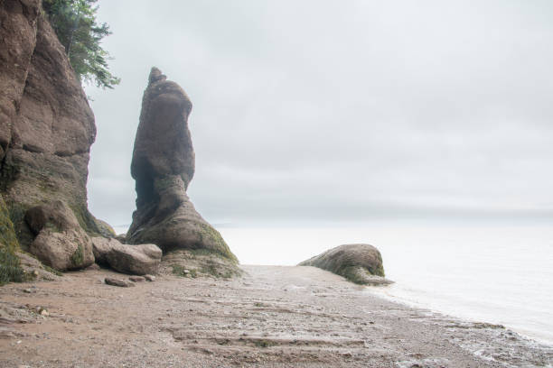 istock Bay of Fundy 1510662836