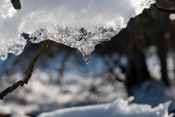 лёд - melting ice icicle leaking стоковые фото и изображения