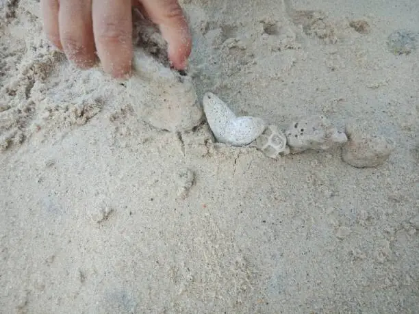 Photo of little boy's hand holding a rock on the beach sand