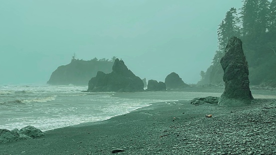 A miserable day at Ruby beach