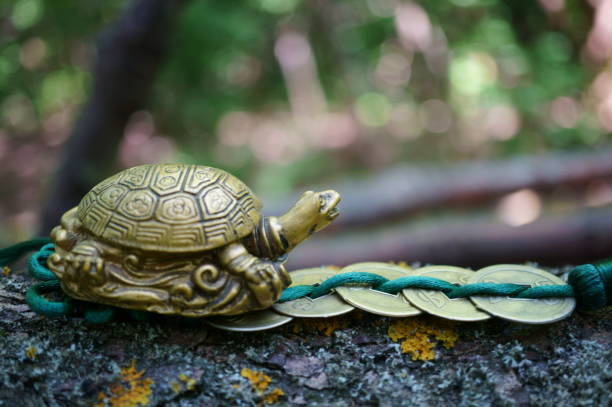 istock A metal turtle with Chinese coins. 1510676837