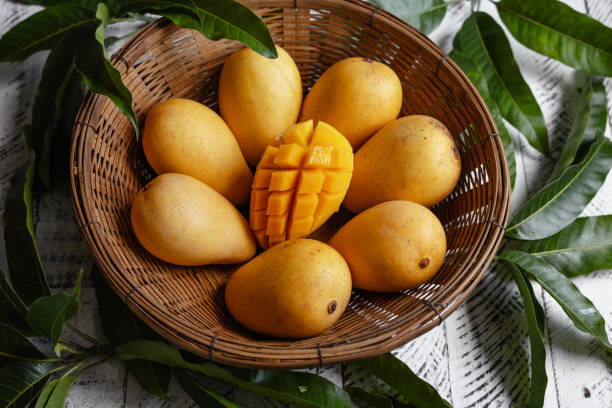 istock yellow ripe mangoes in basket 1510681782